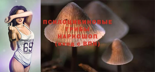 mdpv Алзамай